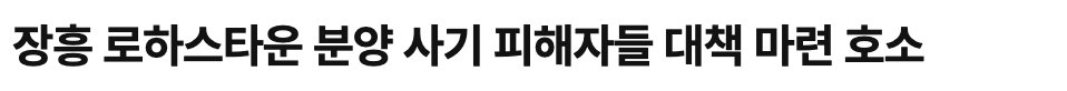 서울신문 기사 제목 — 로하스타운 분양 사기 피해자들 대책 마련 호소