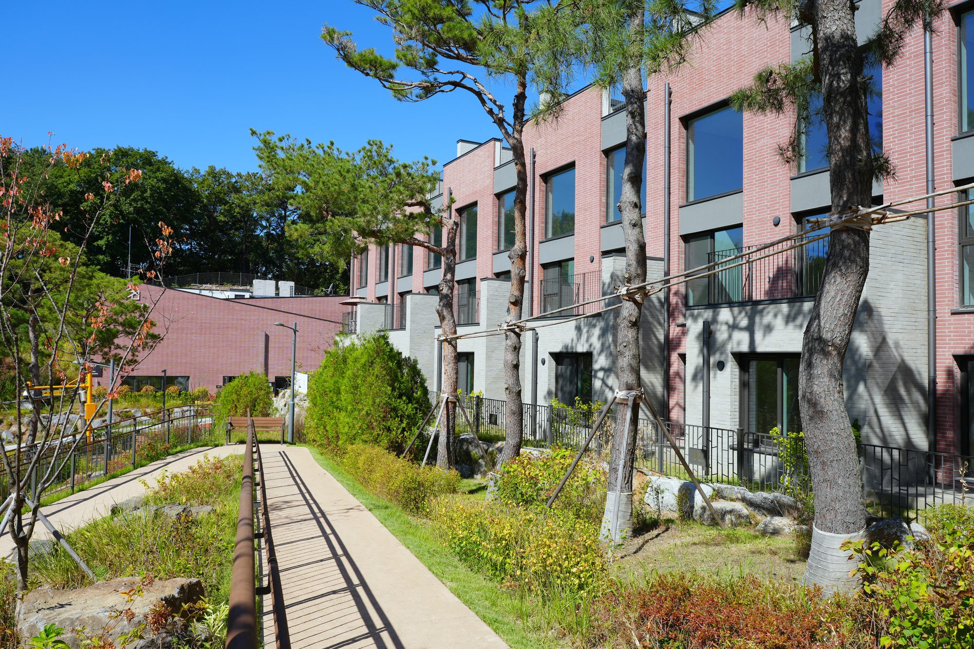 라피아노 용인 — 나무와 화단 사이 단지 보행로와 줄지어 선 완성된 집(실제 사진)